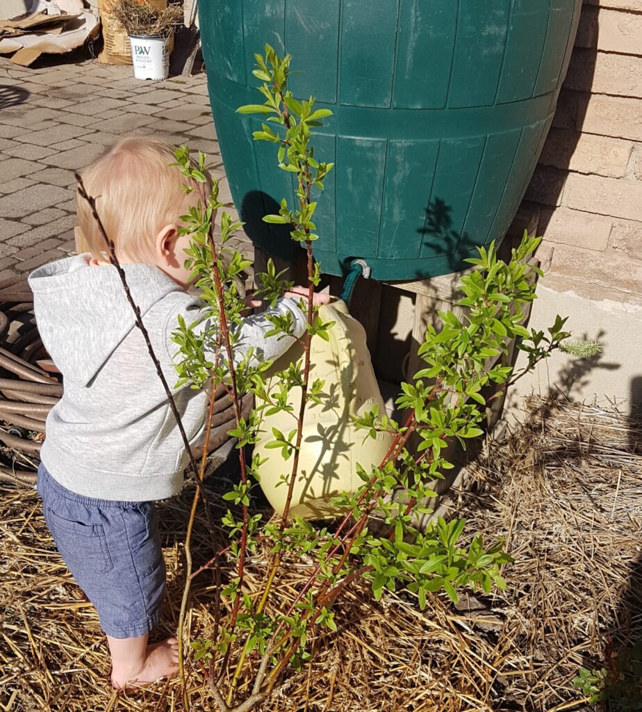 Boy watering in Sensory Garden