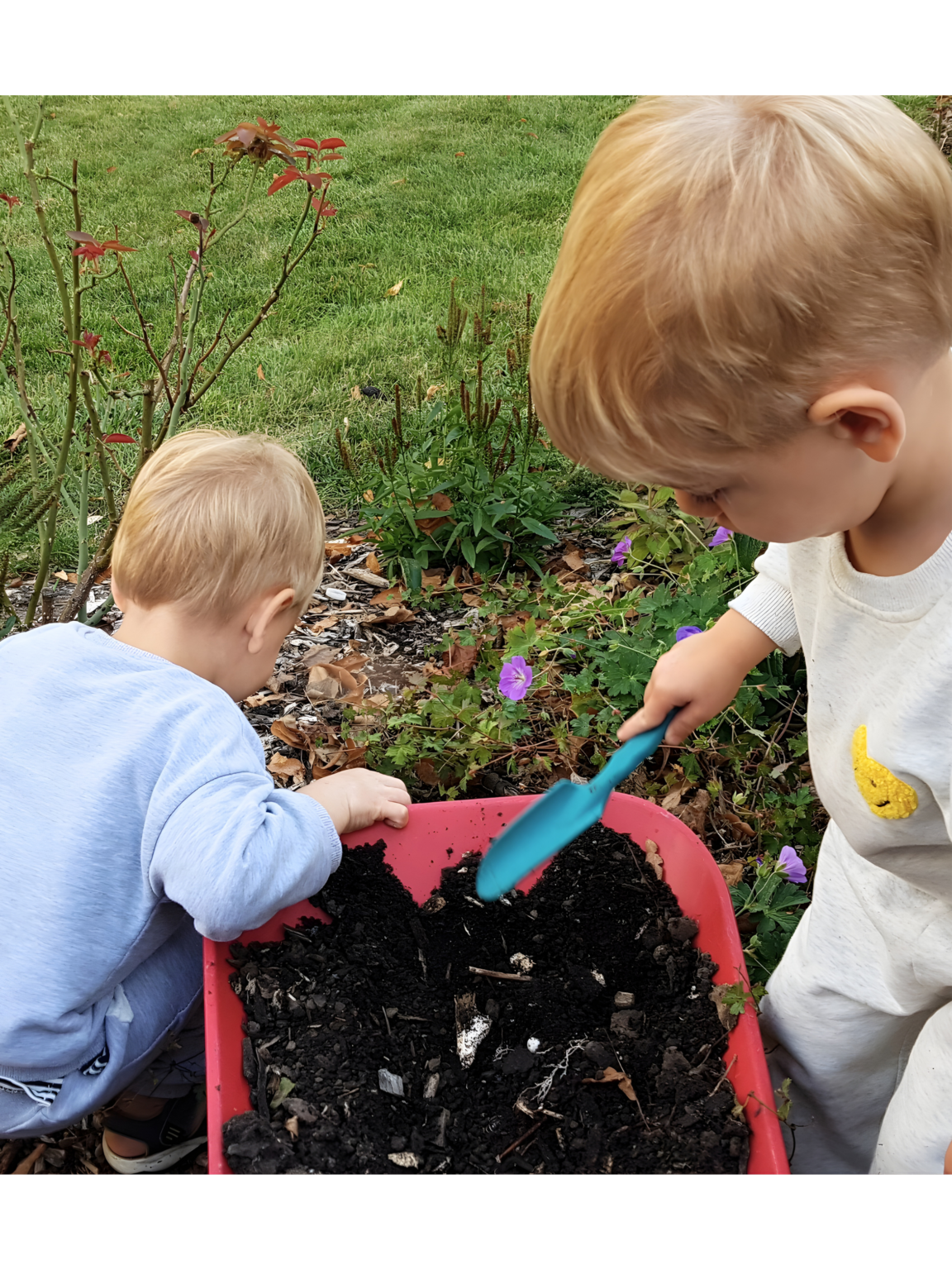 Untitled design (36)